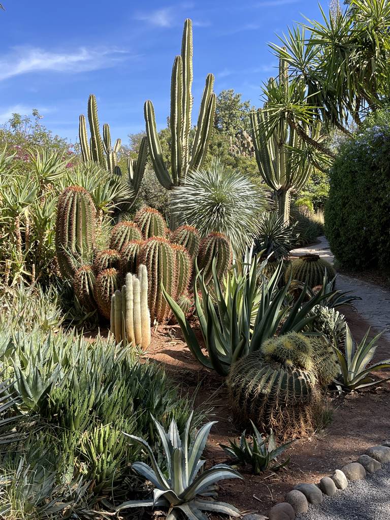 Anima jardin de sculptures (26) Anima jardin de sculptures (26)