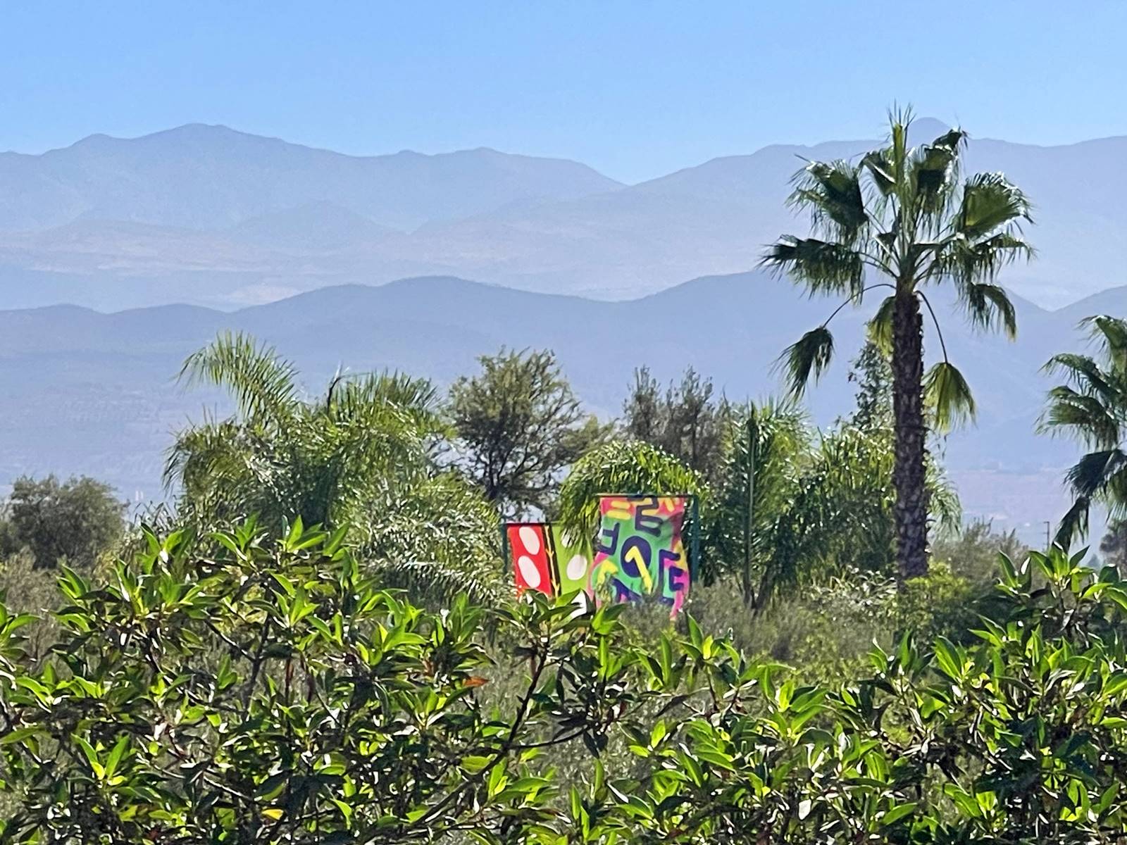 Anima jardin de sculptures (41)