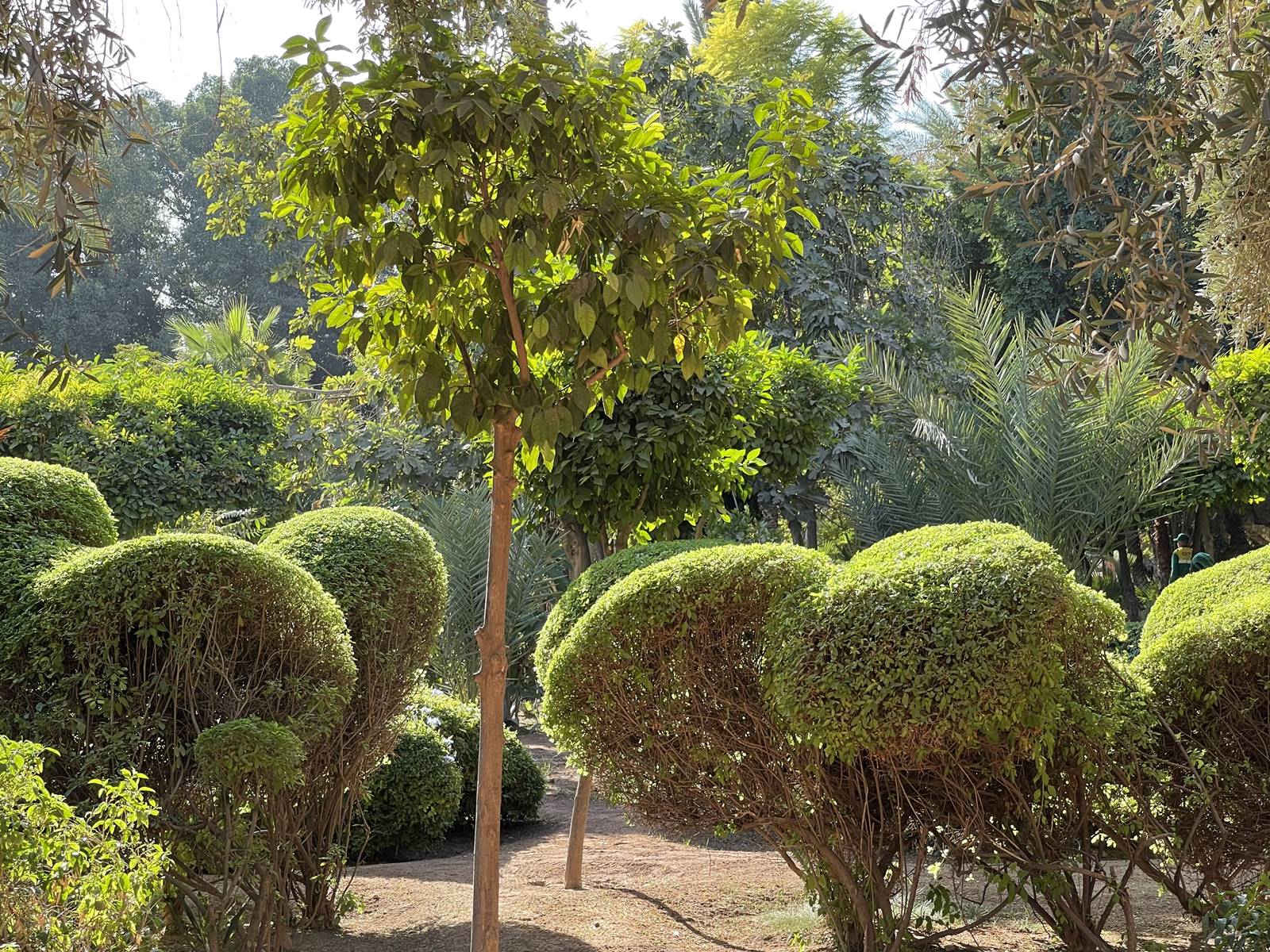 Arsat Moulay Abdeslam (1) Arsat Moulay Abdeslam (1)