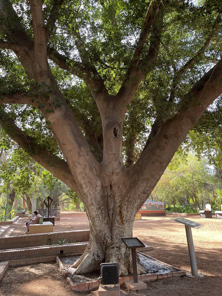 Arsat Moulay Abdeslam (4) Arsat Moulay Abdeslam (4)