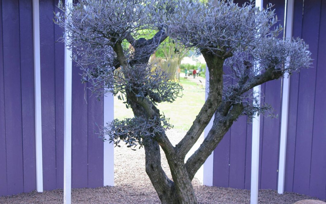 Jardin pour la Paix, Bitche