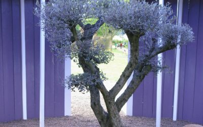 Jardin pour la Paix, Bitche