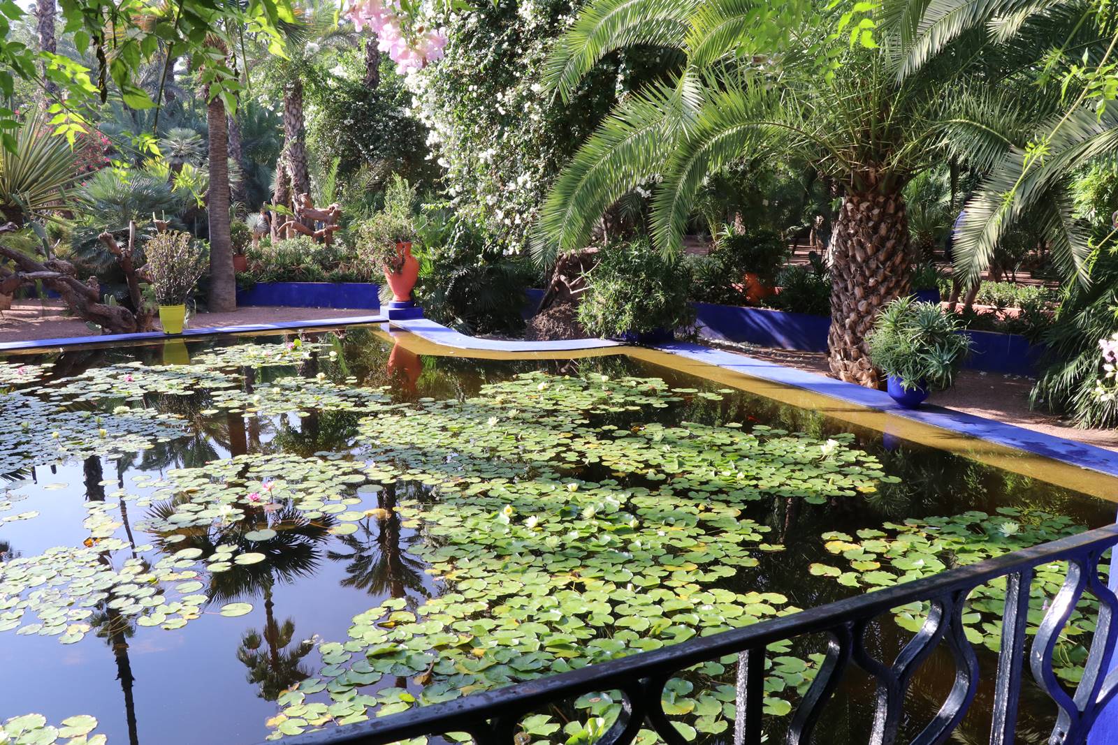 Jardin Majorelle (10) Jardin Majorelle (10)