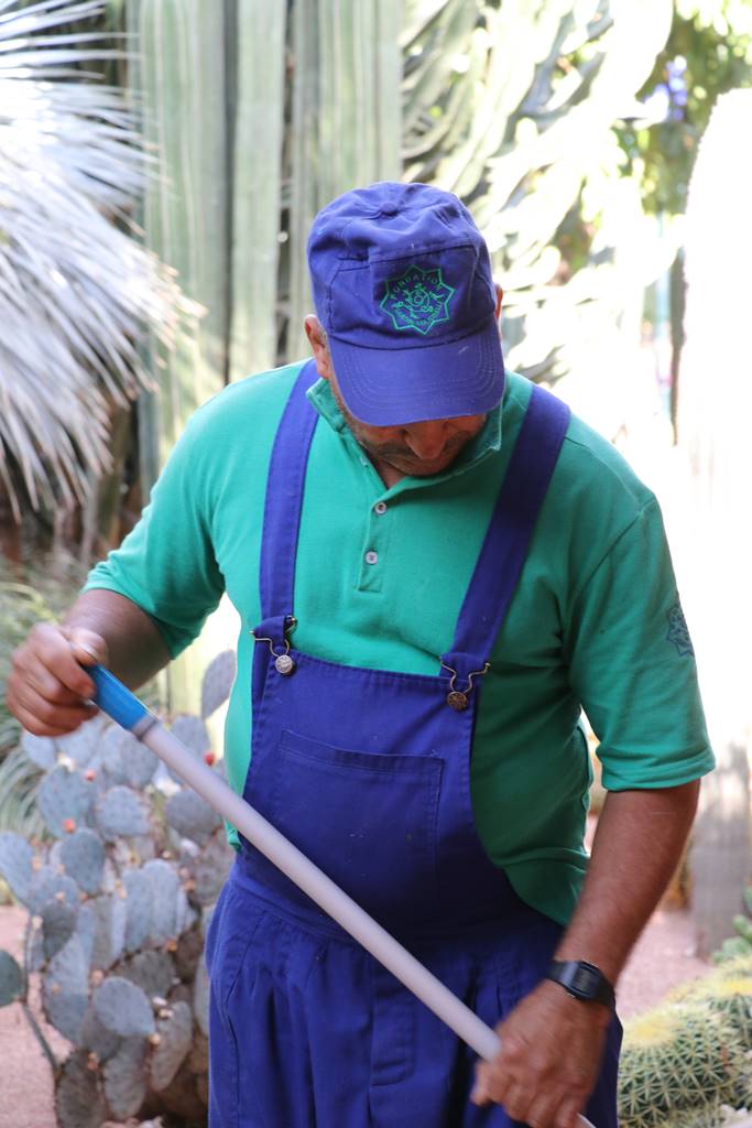 Jardin Majorelle (15) Jardin Majorelle (15)