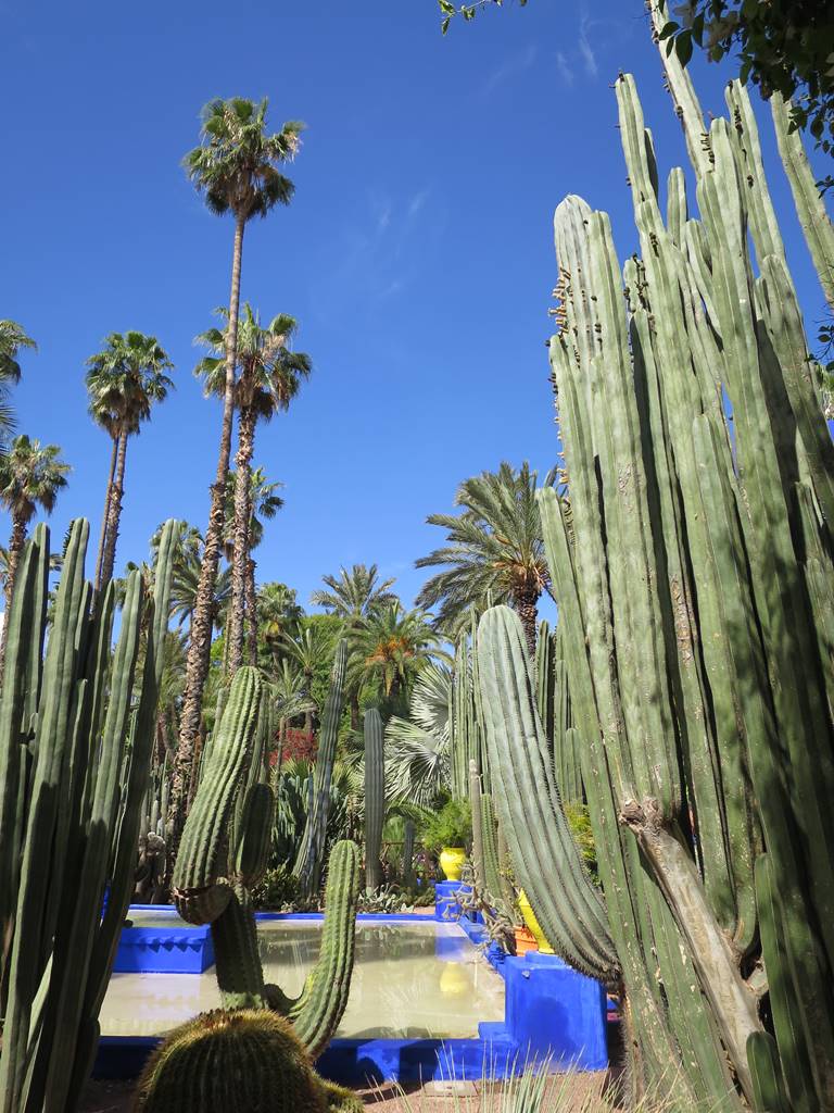 Jardin Majorelle (19) Jardin Majorelle (19)