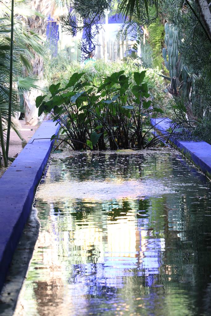 Jardin Majorelle (4) Jardin Majorelle (4)