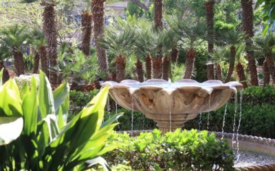 Les jardins de Malte