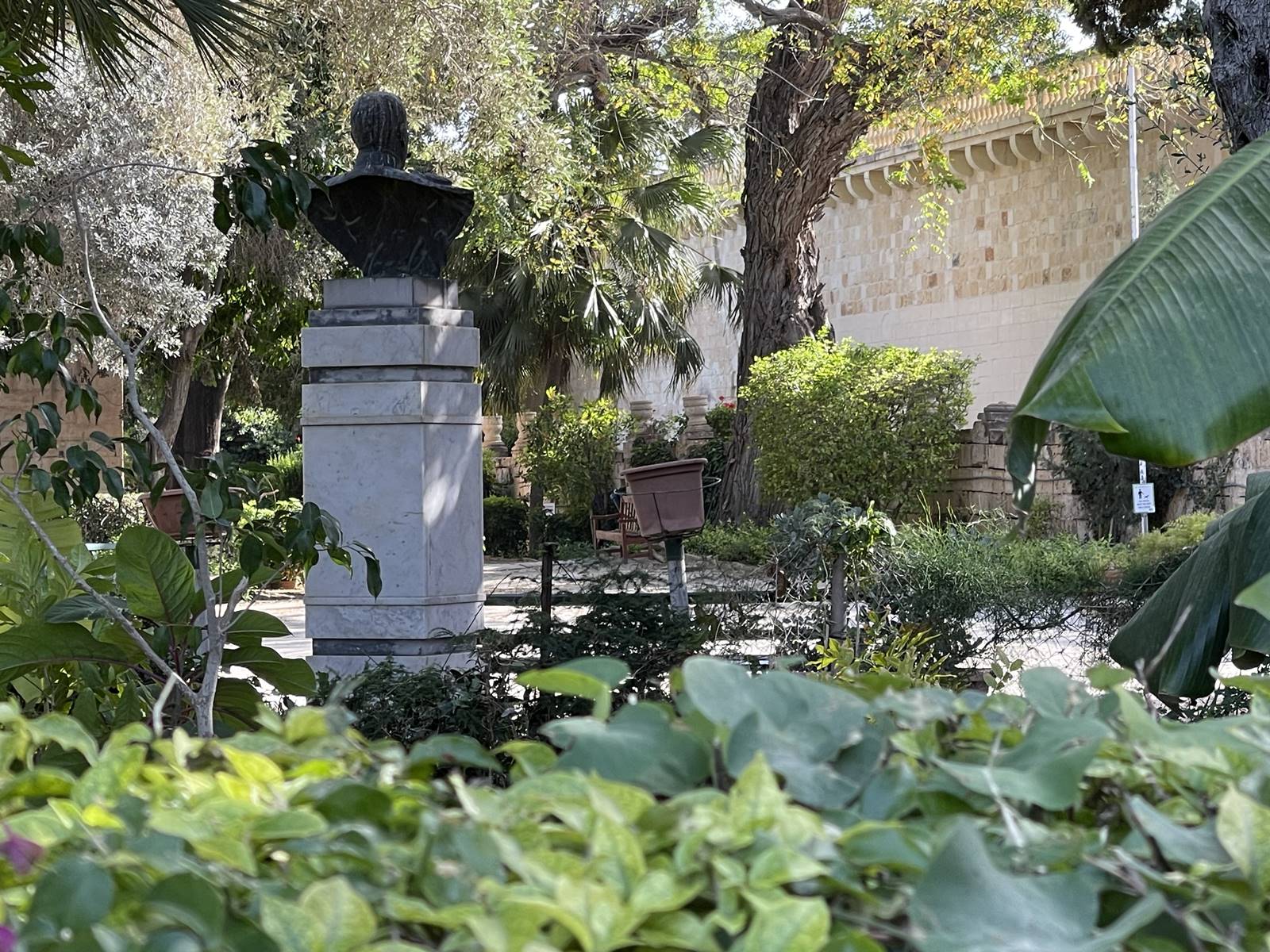 San Anton Garden (12) San Anton Garden (12)