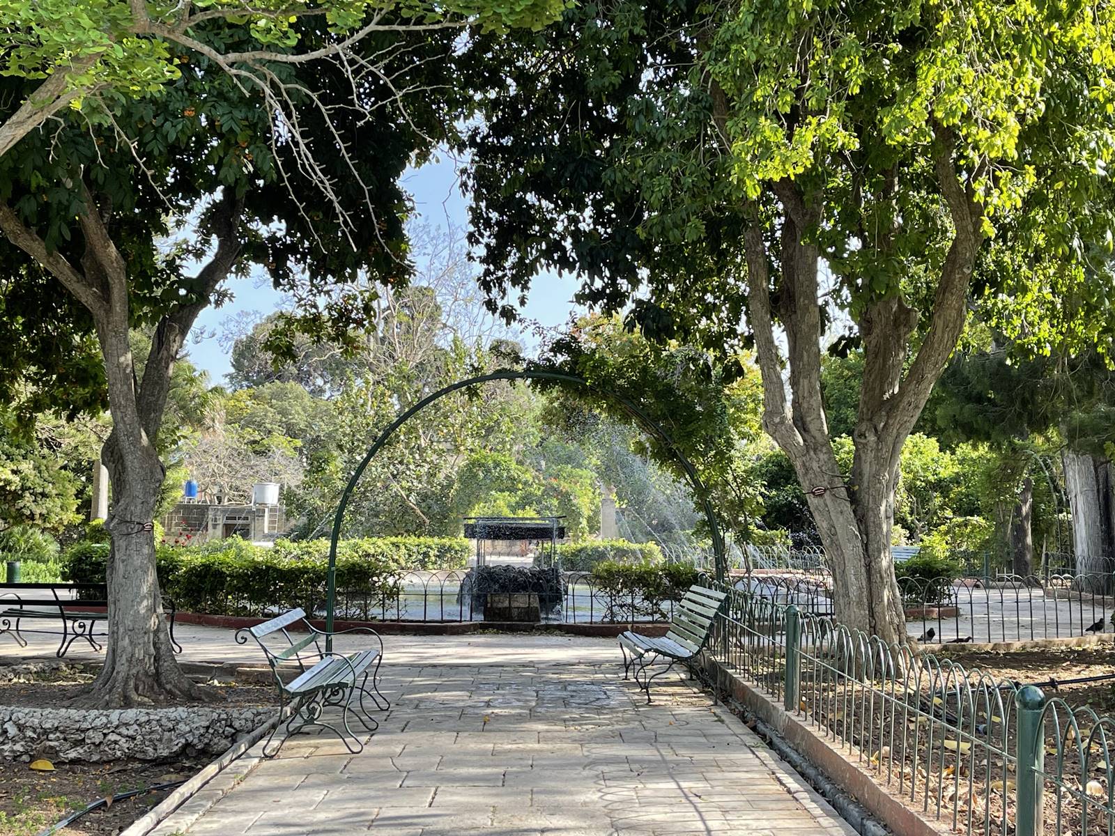 San Anton Garden (14) San Anton Garden (14)