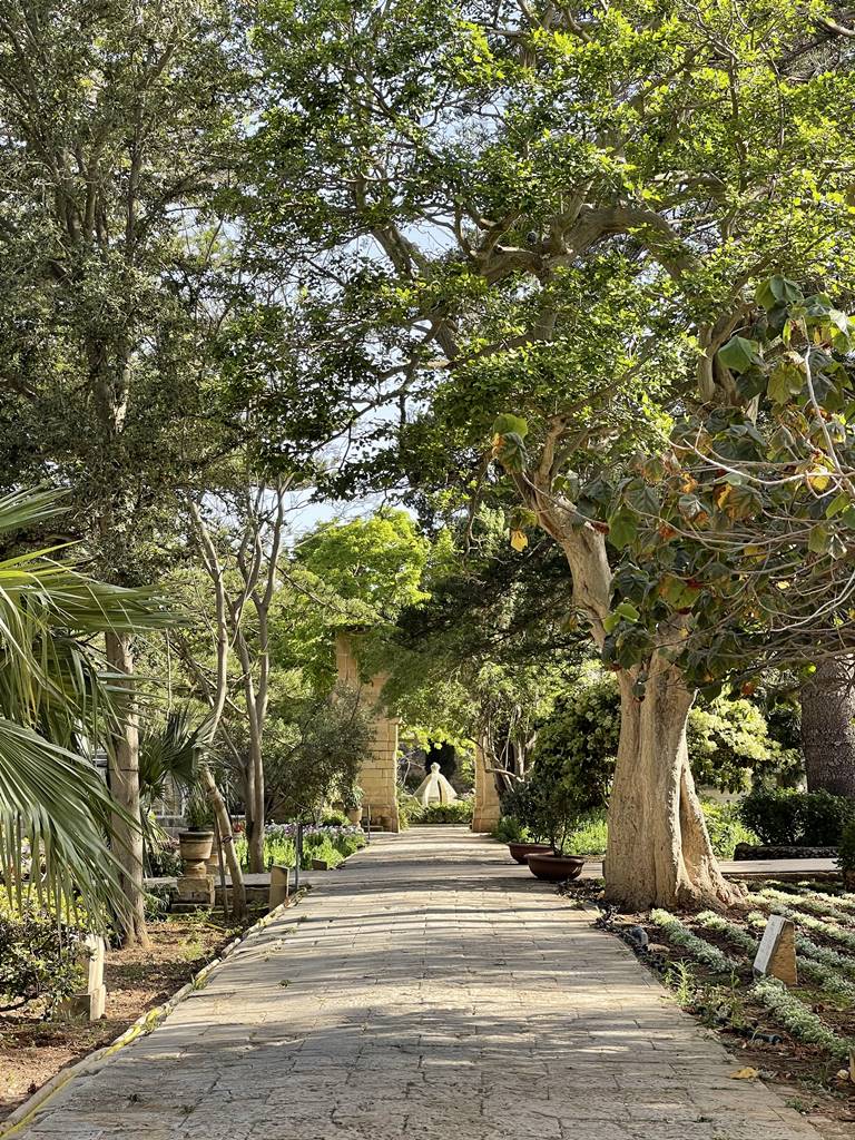 San Anton Garden (15) San Anton Garden (15)