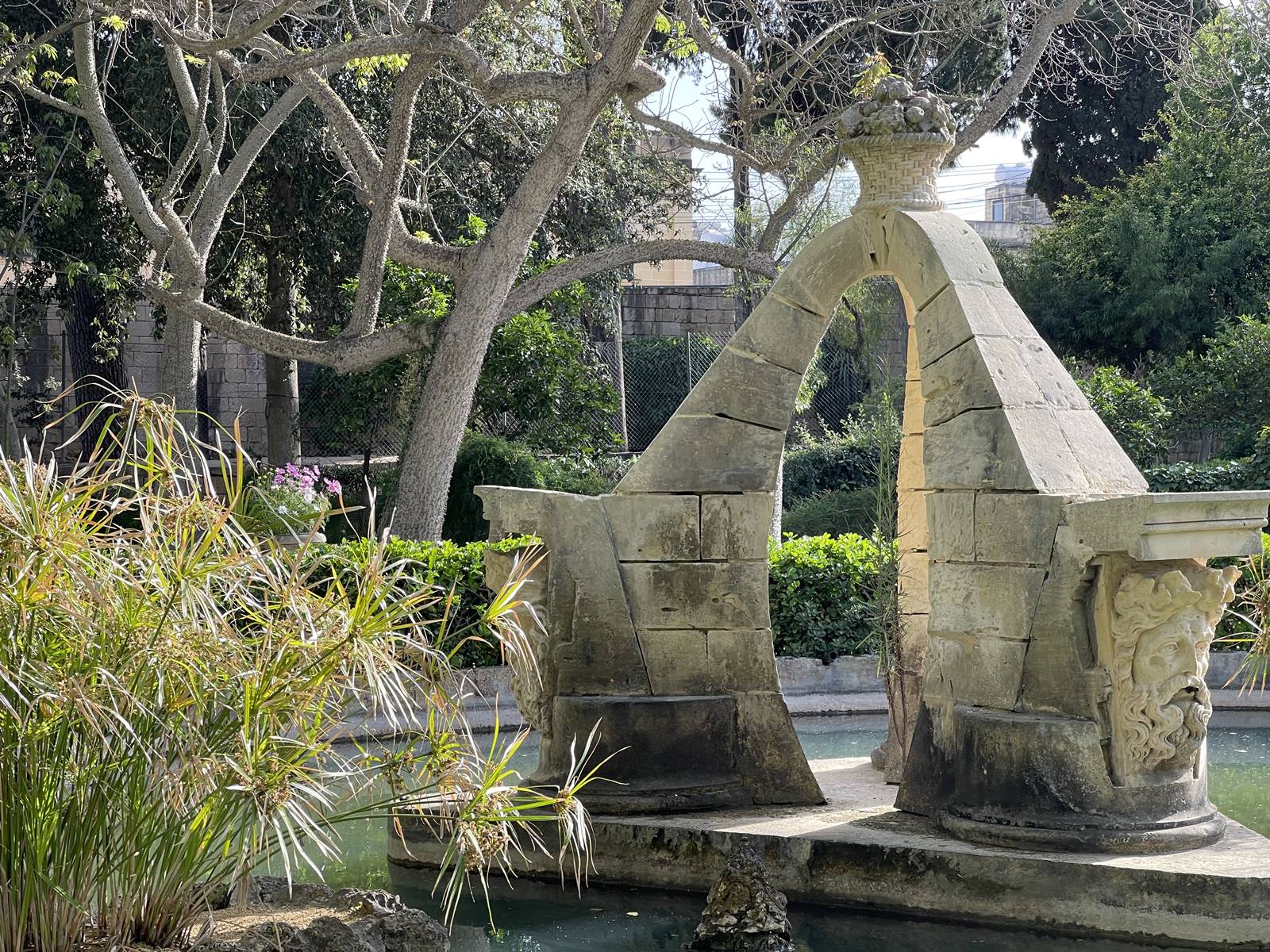 San Anton Garden (21) San Anton Garden (21)