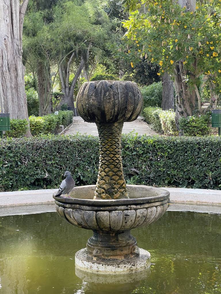 San Anton Garden (6) San Anton Garden (6)