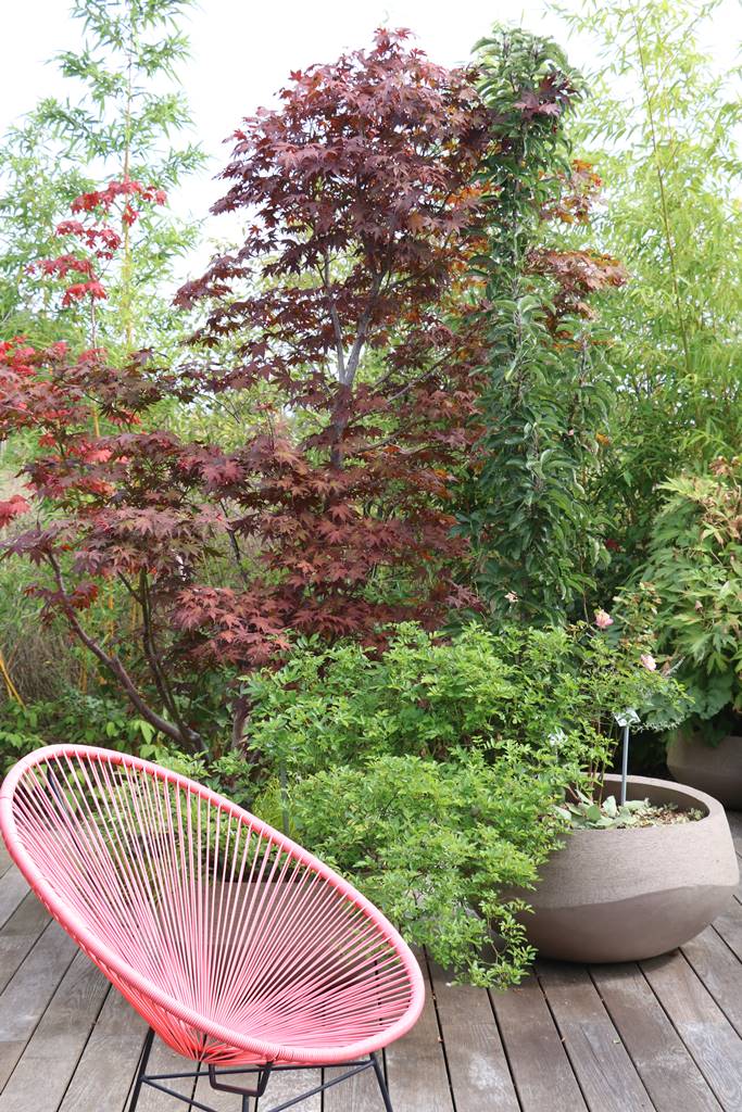 webGraine de jardinier (13)