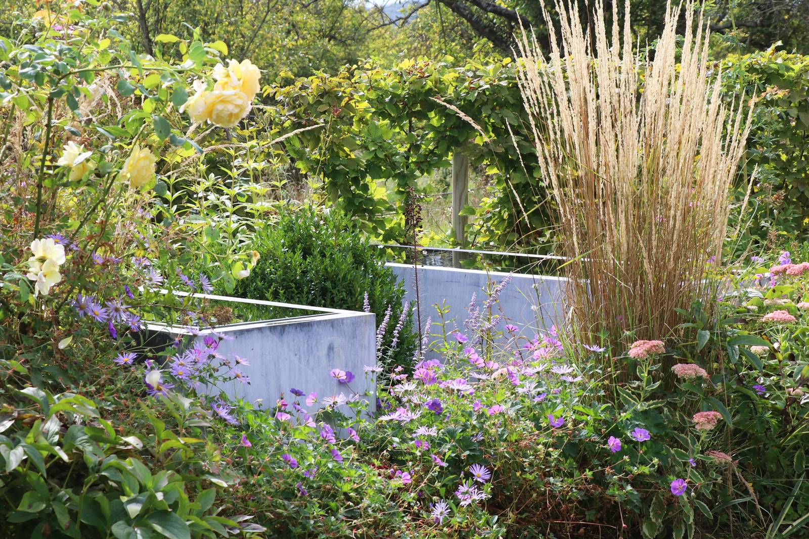 webGraine de jardinier (15)