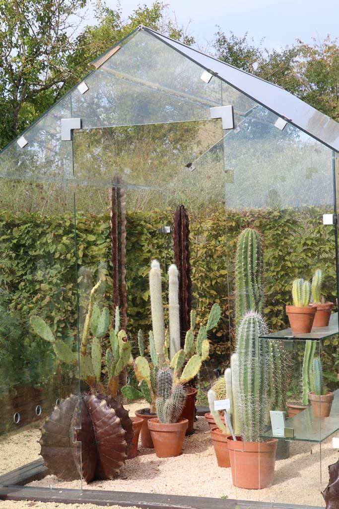 webGraine de jardinier (16)