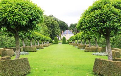 Jardin du Plessis Sasnières