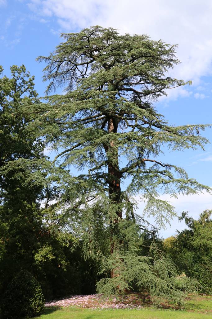 La Croze Auvergne (29)