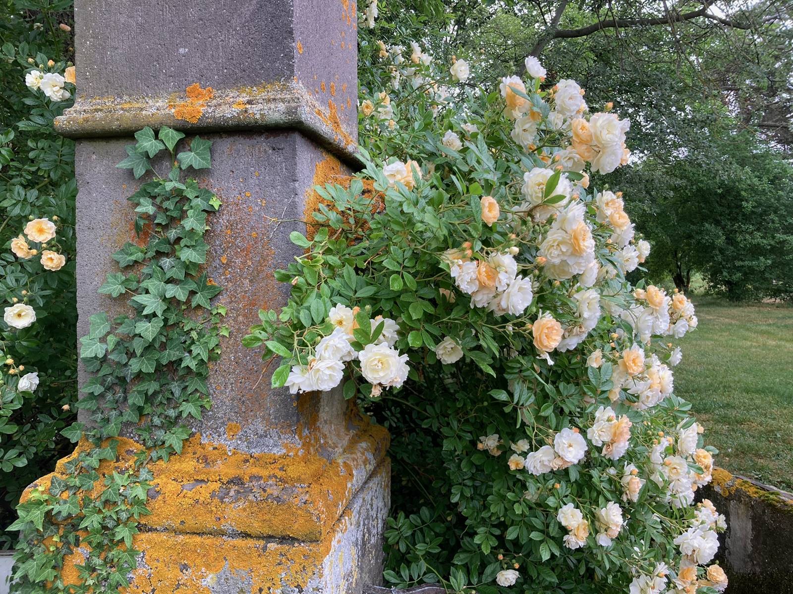 La Croze Ghislaine de Feligonde