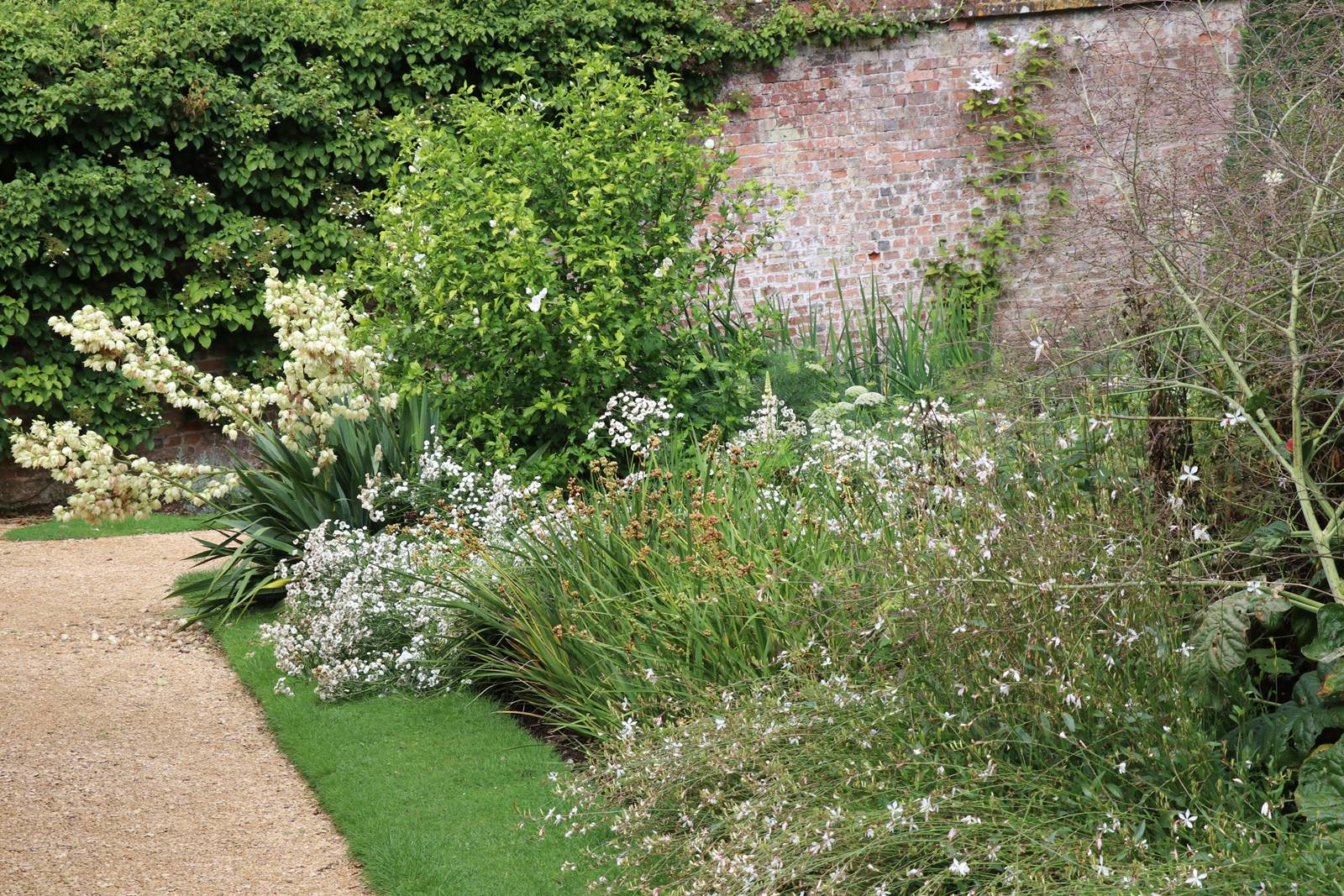 Jardins de Highclere castle (22)