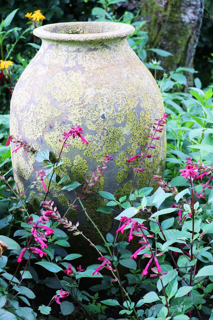 Jardins de Highclere castle (24)