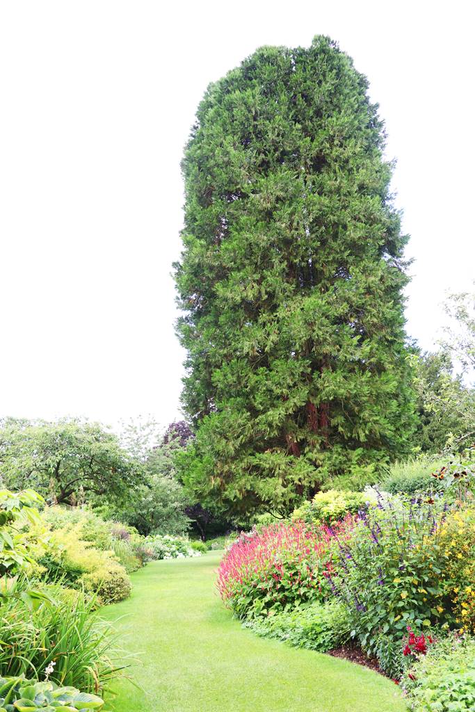 Jardins de Highclere castle (28)