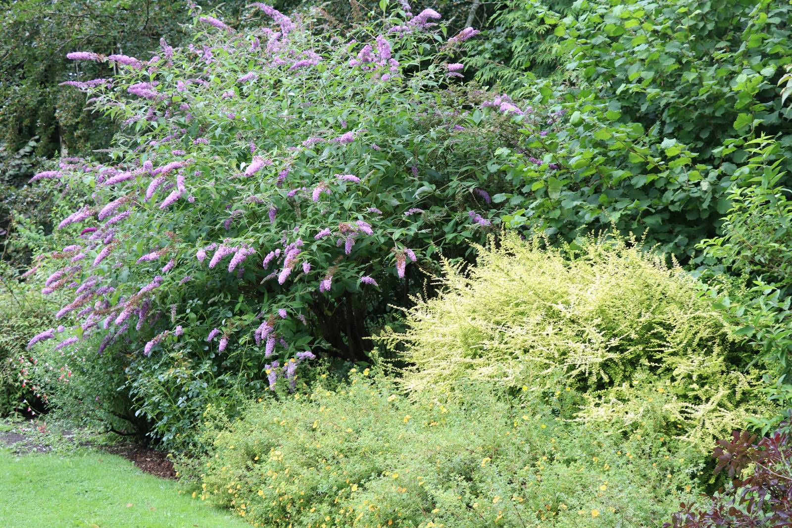 Jardins de Highclere castle (29)