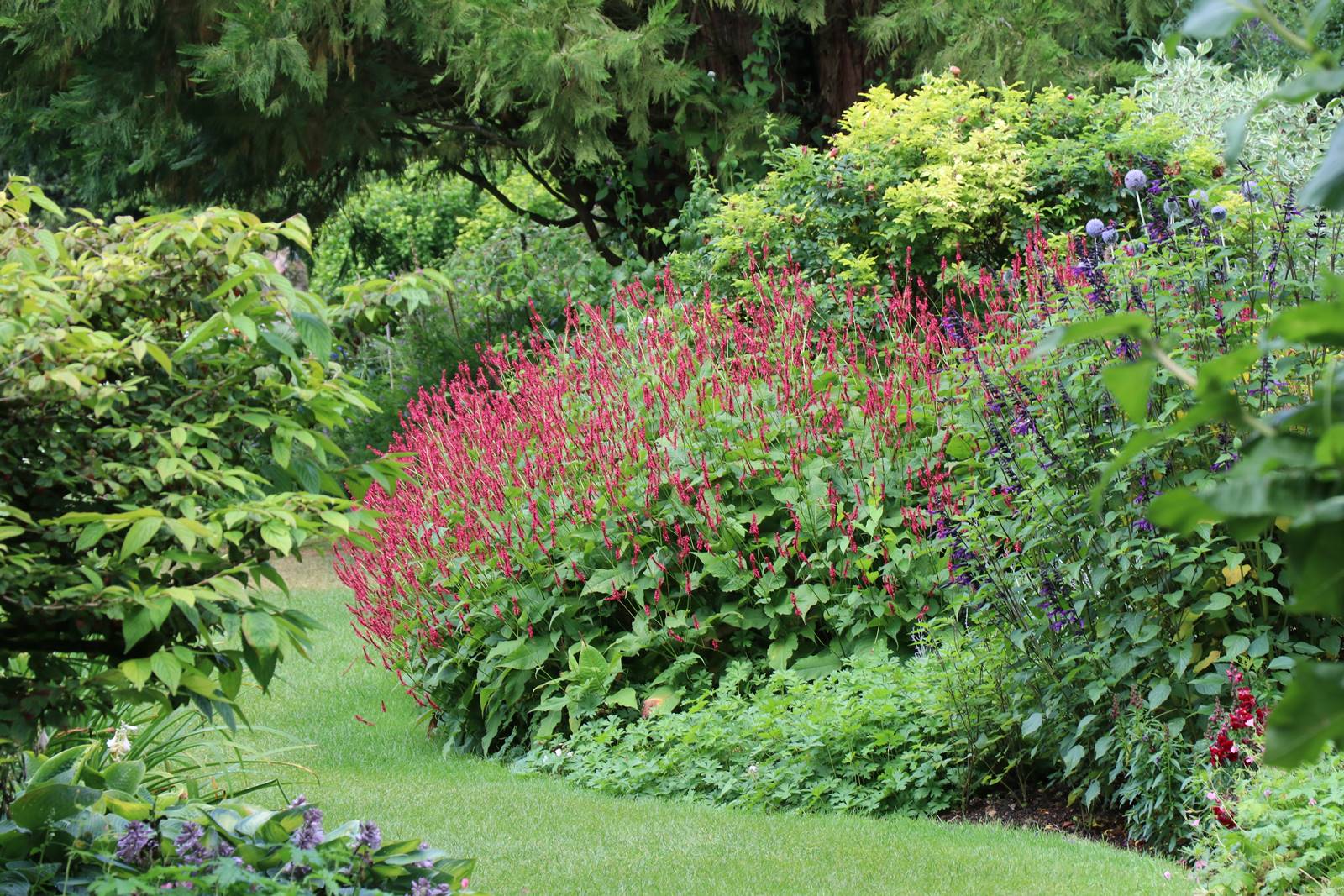Jardins de Highclere castle (30)