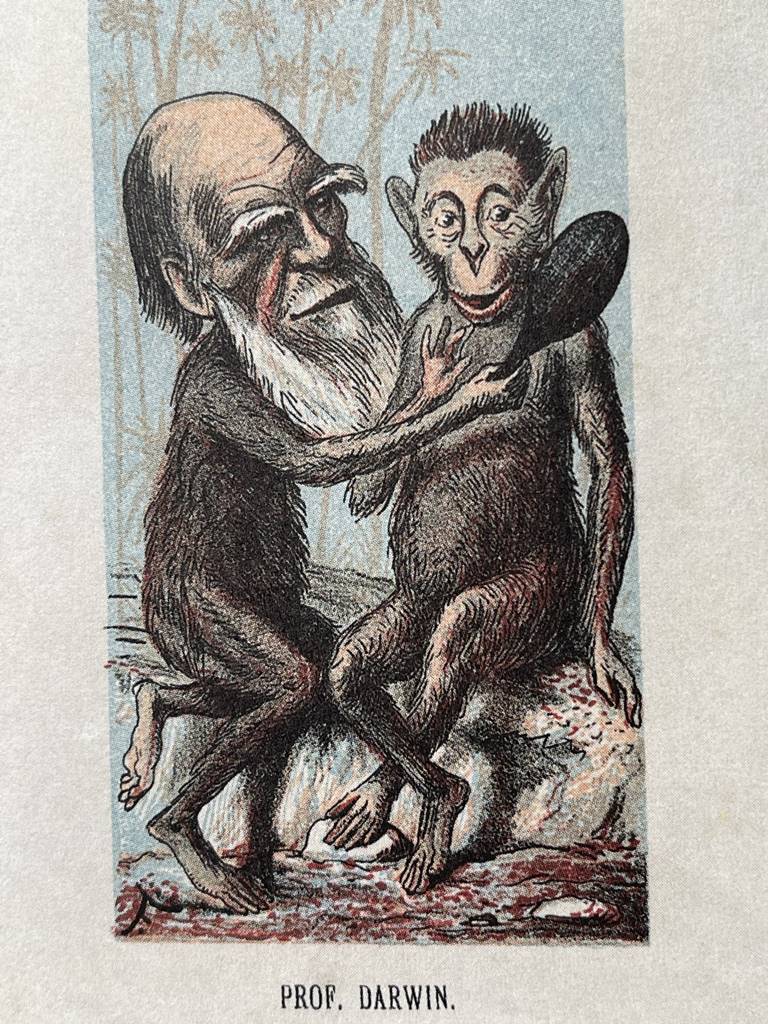 Prof. Darwin, lithographie 1871 Prof. Darwin, lithographie 1871