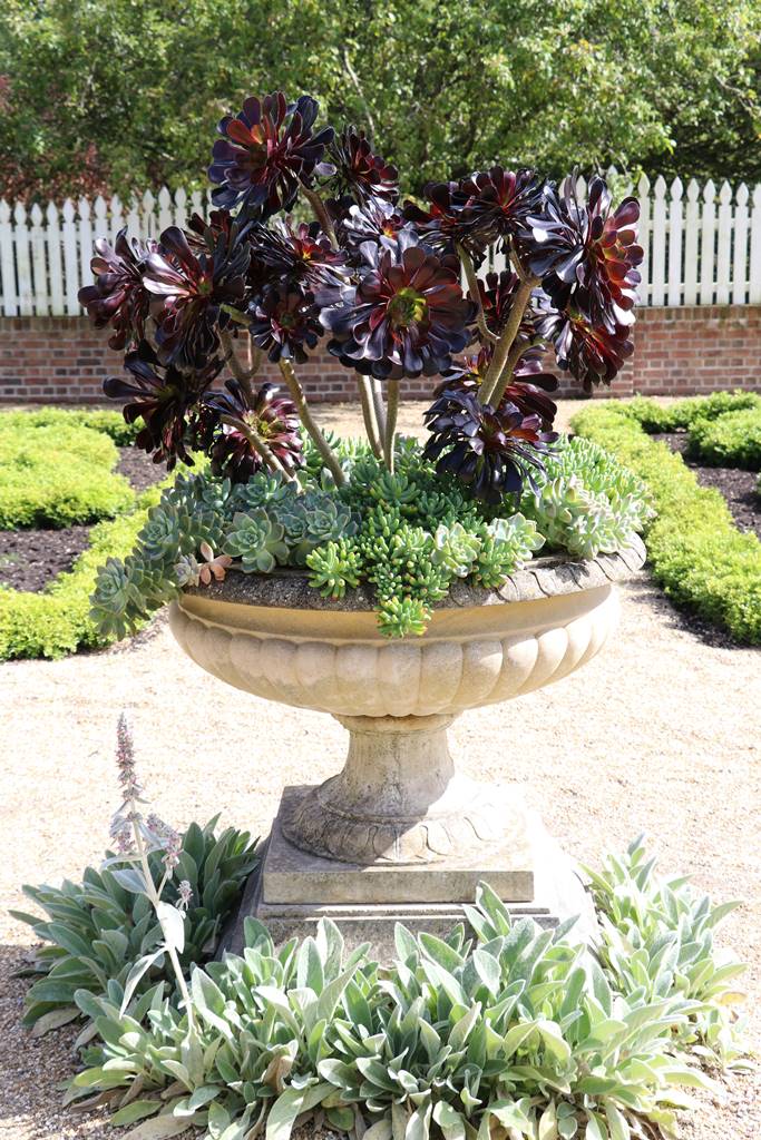 Mount Vernon garden (5) Mount Vernon garden (5)