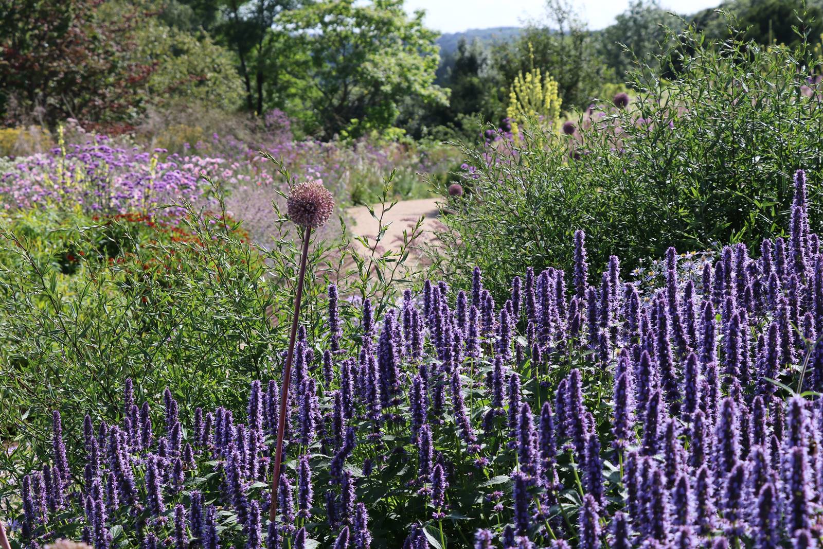 New American Garden (7) New American Garden (7)