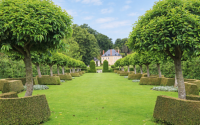 Jardin du Plessis Sasnières