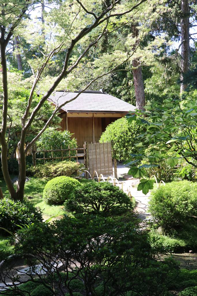 web2 jardin japonais (4)