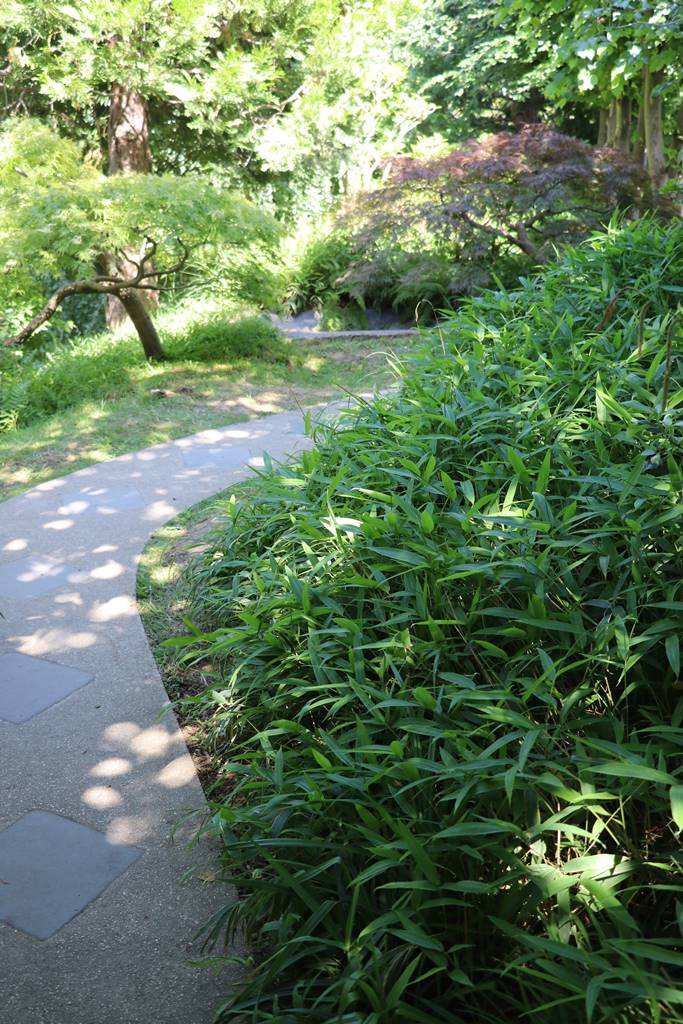 web3 Jardin japonais contemporain (14)
