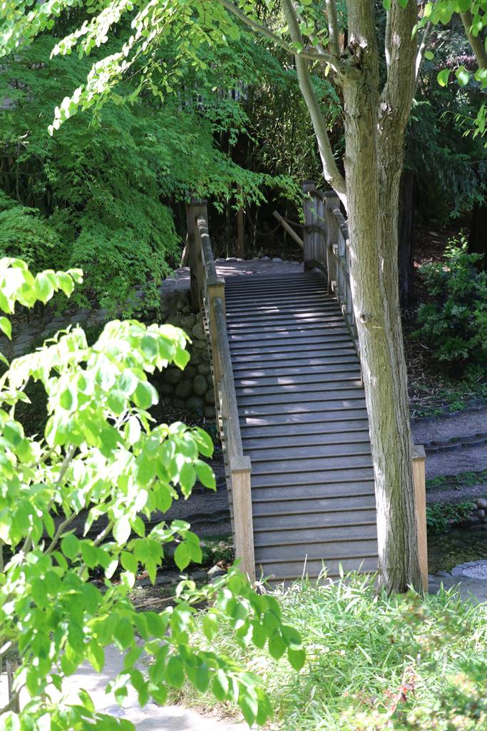 web3 Jardin japonais contemporain (15)