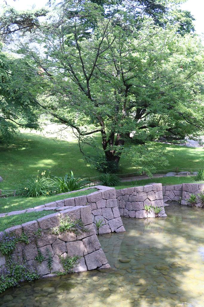 web3 Jardin japonais contemporain (24)