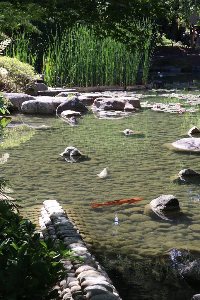 web3 Jardin japonais contemporain (5)