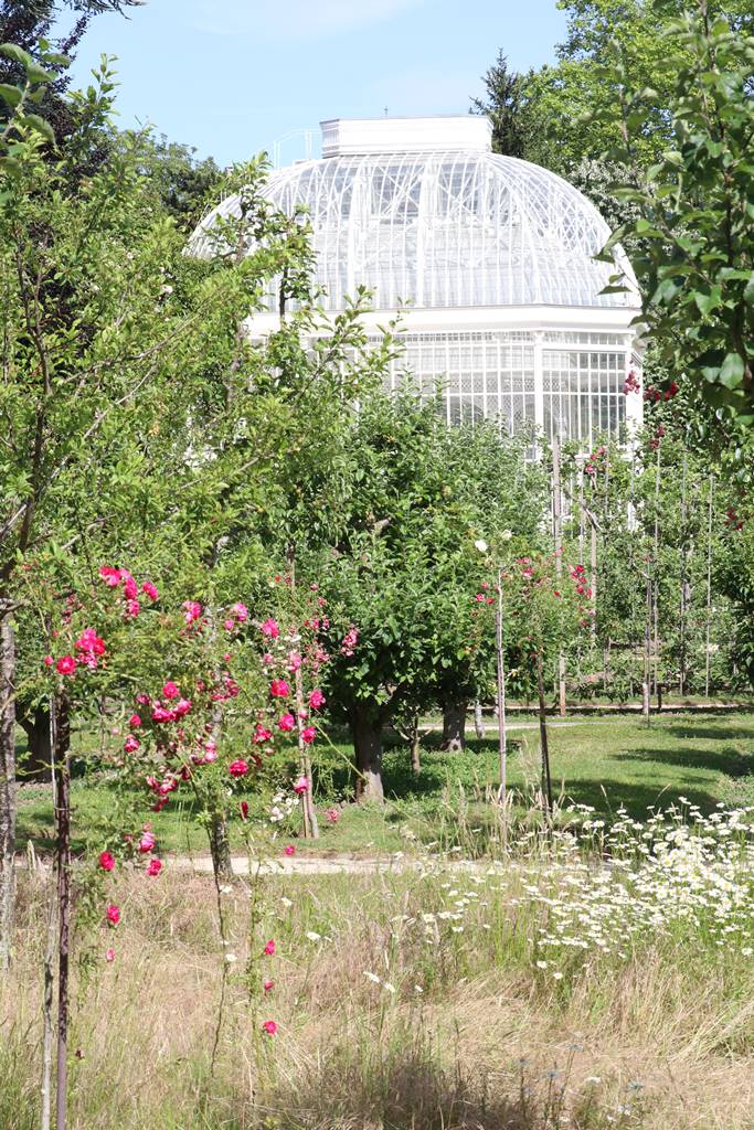 web4 Jardin français (2)
