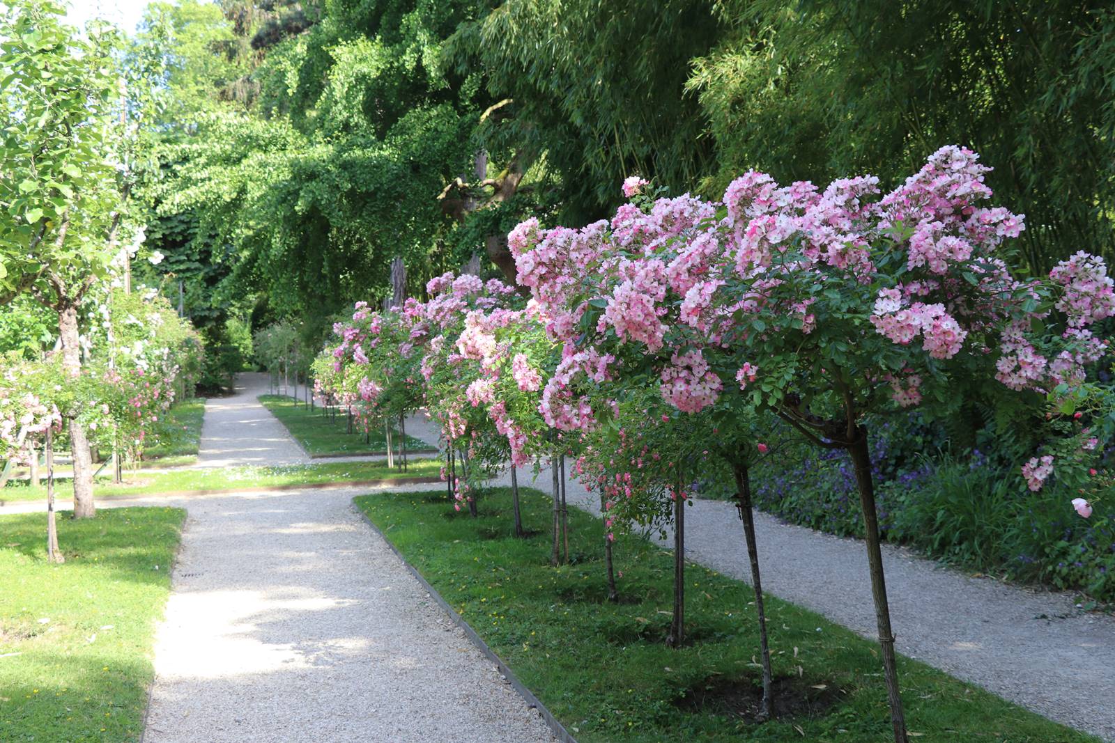 web4 Jardin français (3)