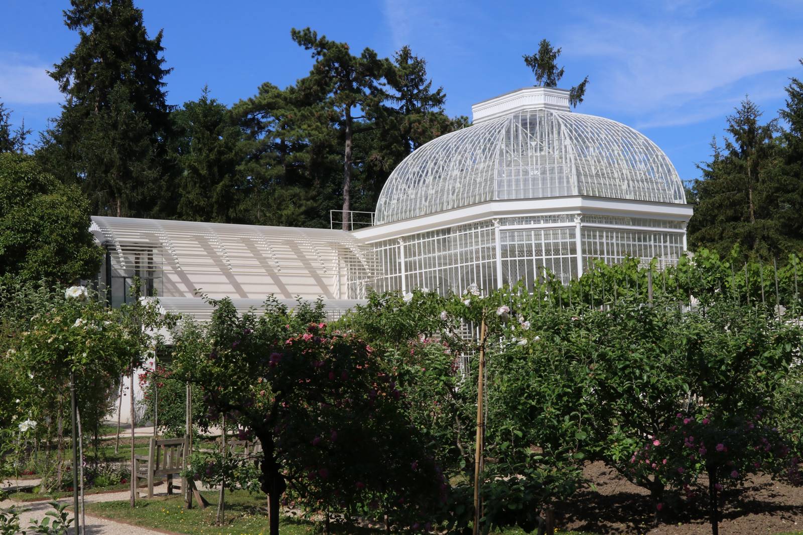 web4 Jardin français (4)
