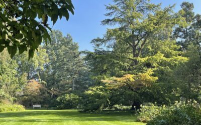 Les trésors de l&rsquo;Arboretum de Kalmthout